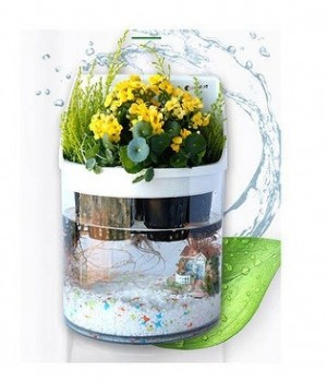 아쿠아팟 수경재배 공기정화기(식물포함) - 자연가습